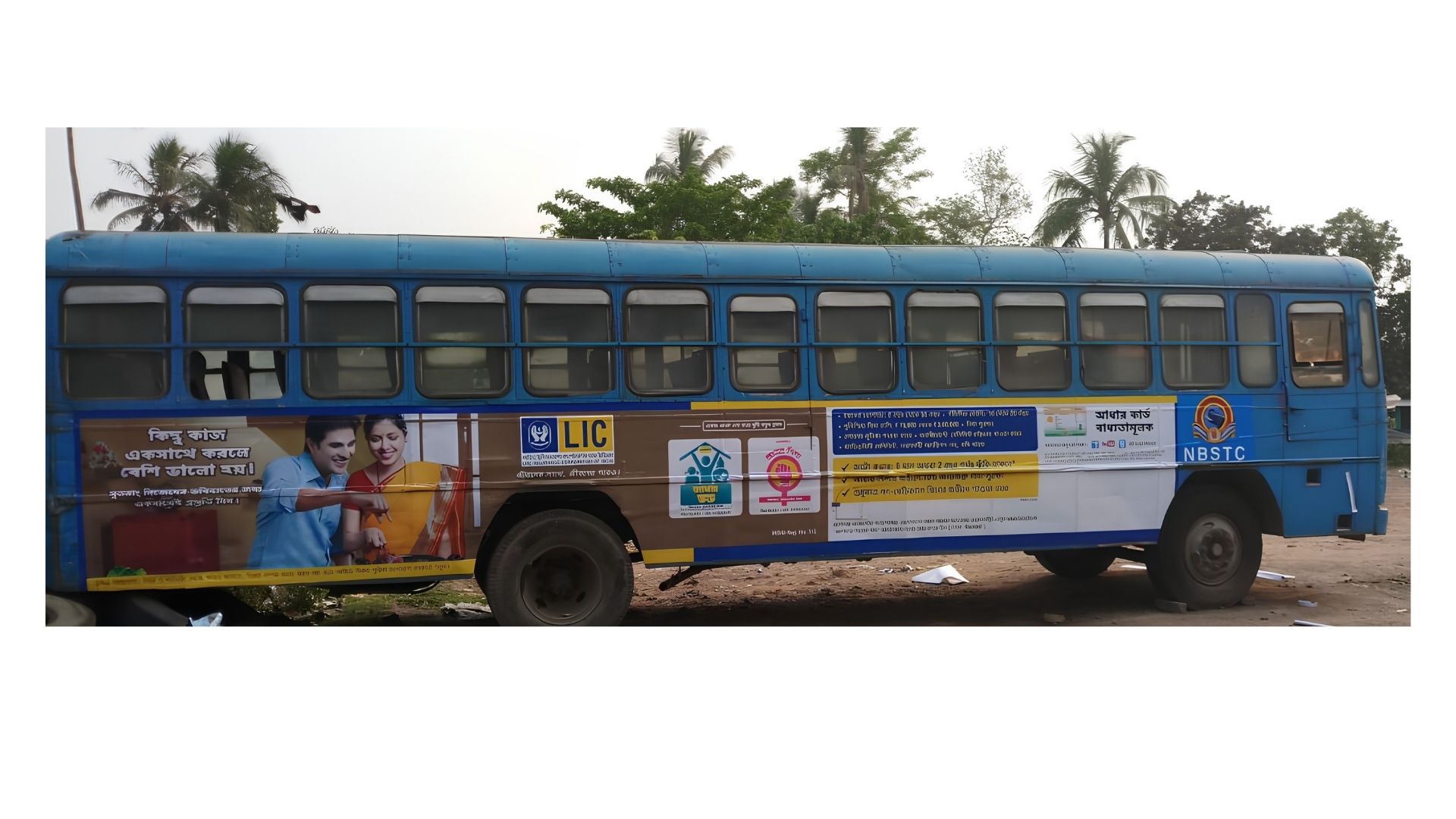 NBSTC Bus LIC Family